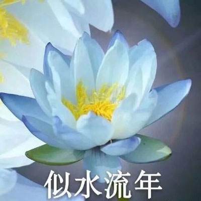 请问你为啥这么厉害内购破解版下载